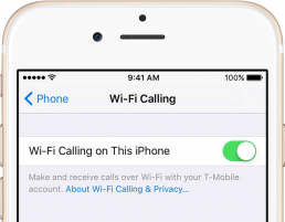 Apple libera ligações por Wi-Fi no iPhone.