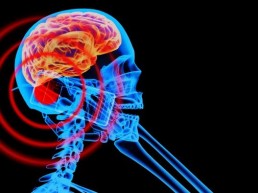Celulares não causam câncer em humanos aponta novo estudo.